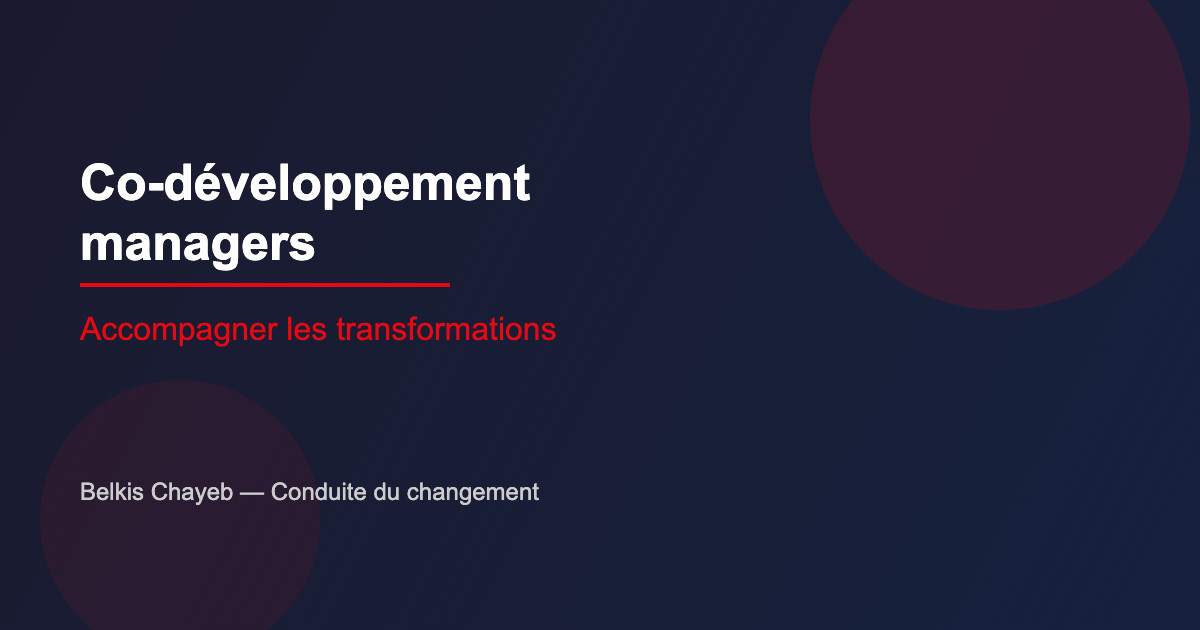 Co-développement : pourquoi les managers en ont besoin pendant les transformations 1 Co-développement managers en période de transformation