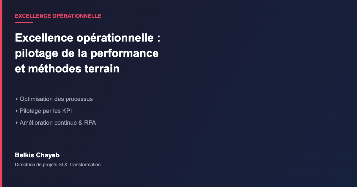 Excellence Opérationnelle & Pilotage de la Performance 1 Excellence opérationnelle pilotage performance