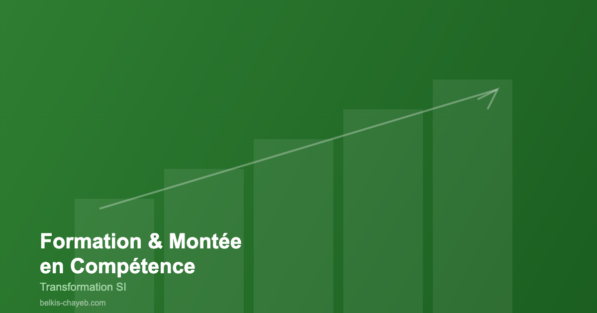 Formation montée compétence transformation SI