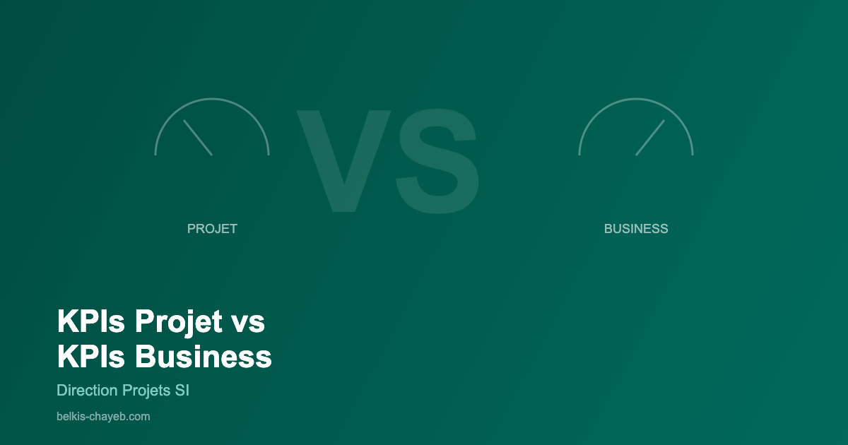 KPIs projet KPIs business - comparaison indicateurs