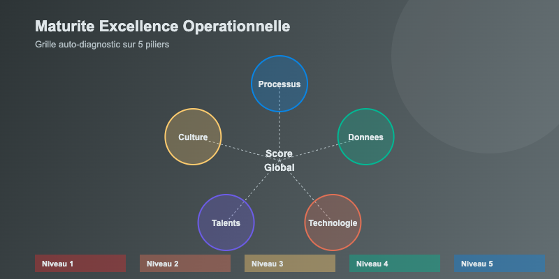 Maturite excellence operationnelle : grille auto-diagnostic 5 piliers